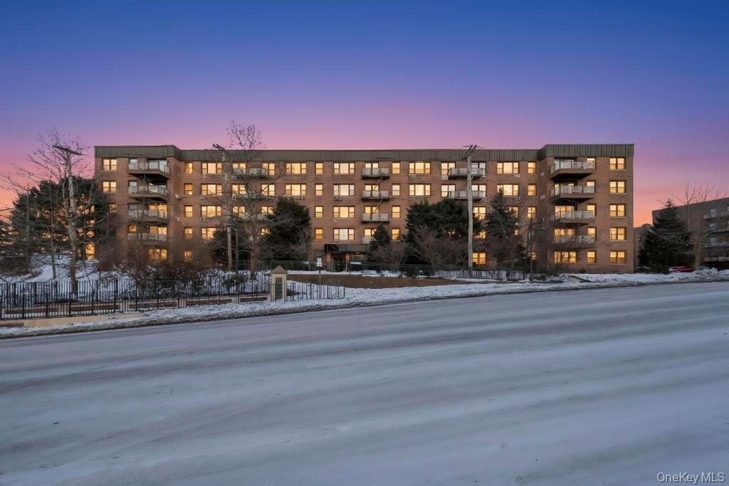 2 Birchwood Court # 3D, Mineola, NY 11501