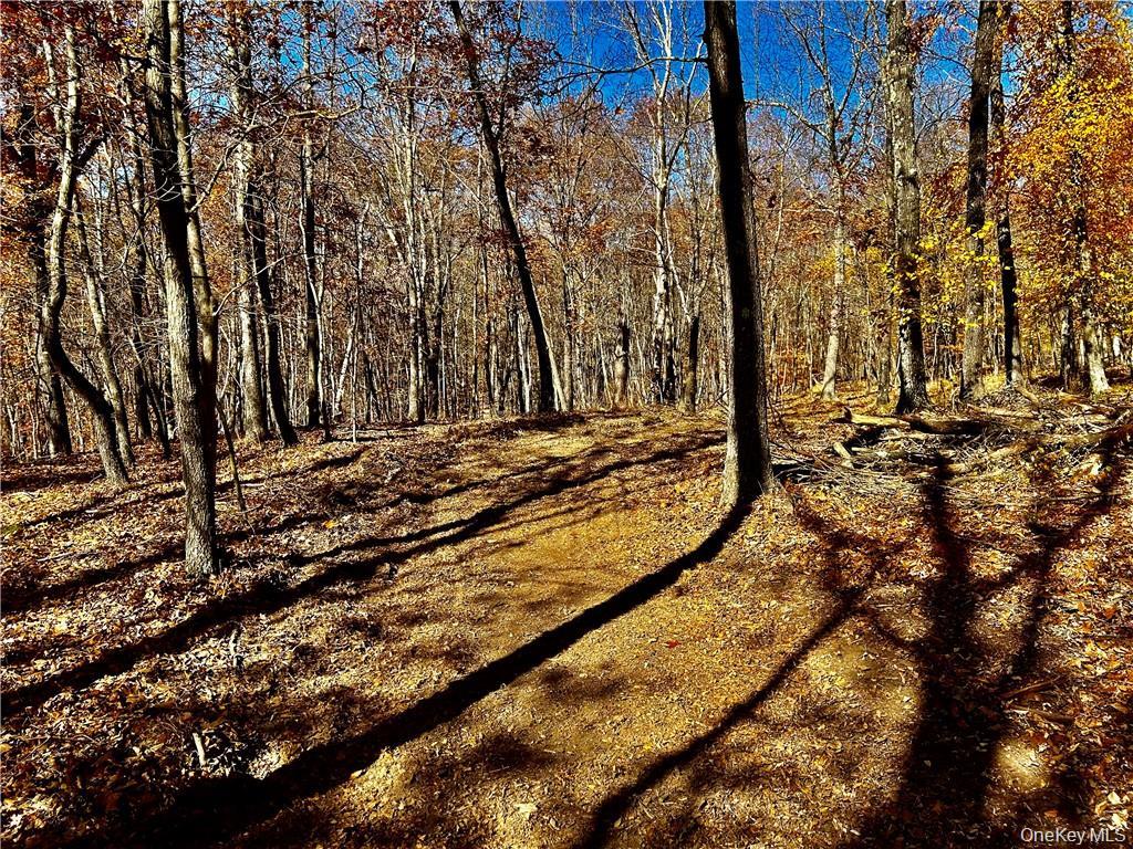 Westfall, Ancram, NY 12502