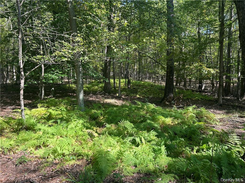 Westfall, Ancram, NY 12502