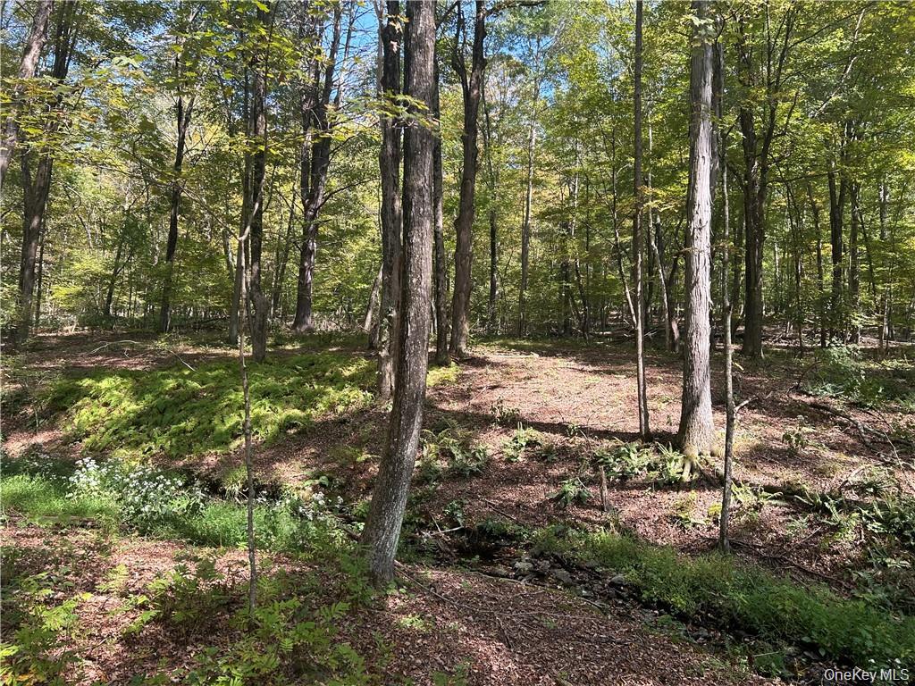 Westfall, Ancram, NY 12502