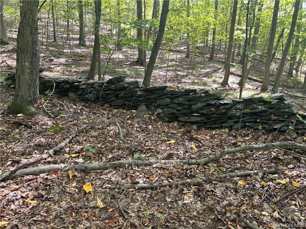 Westfall, Ancram, NY 12502