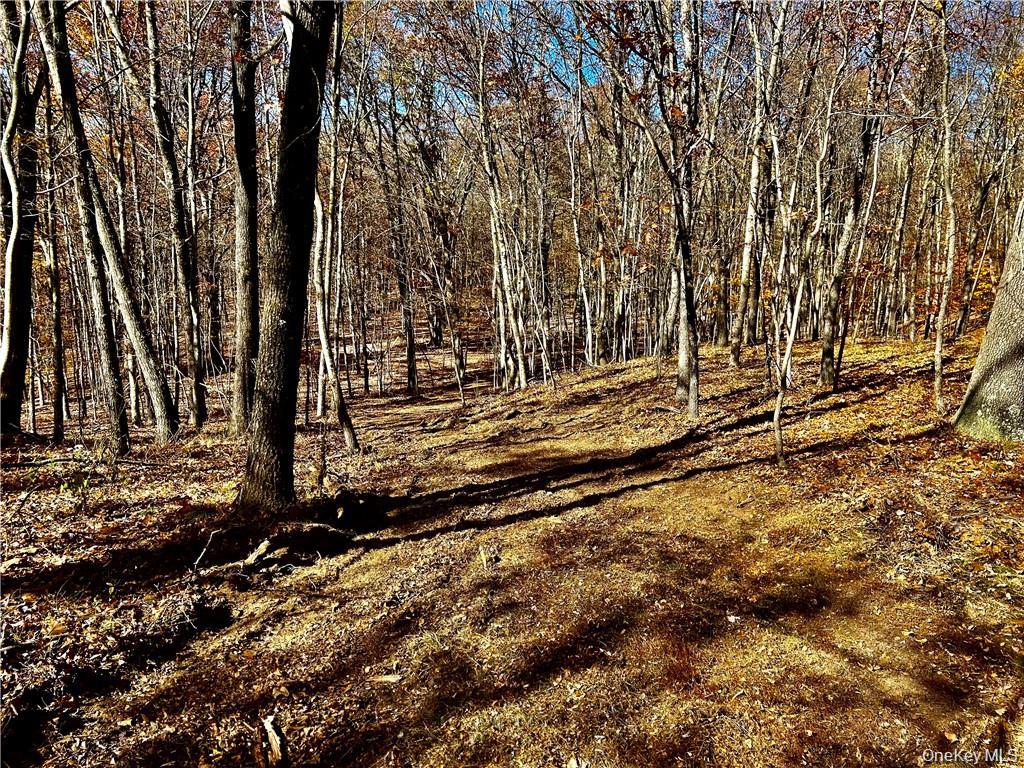 Westfall, Ancram, NY 12502