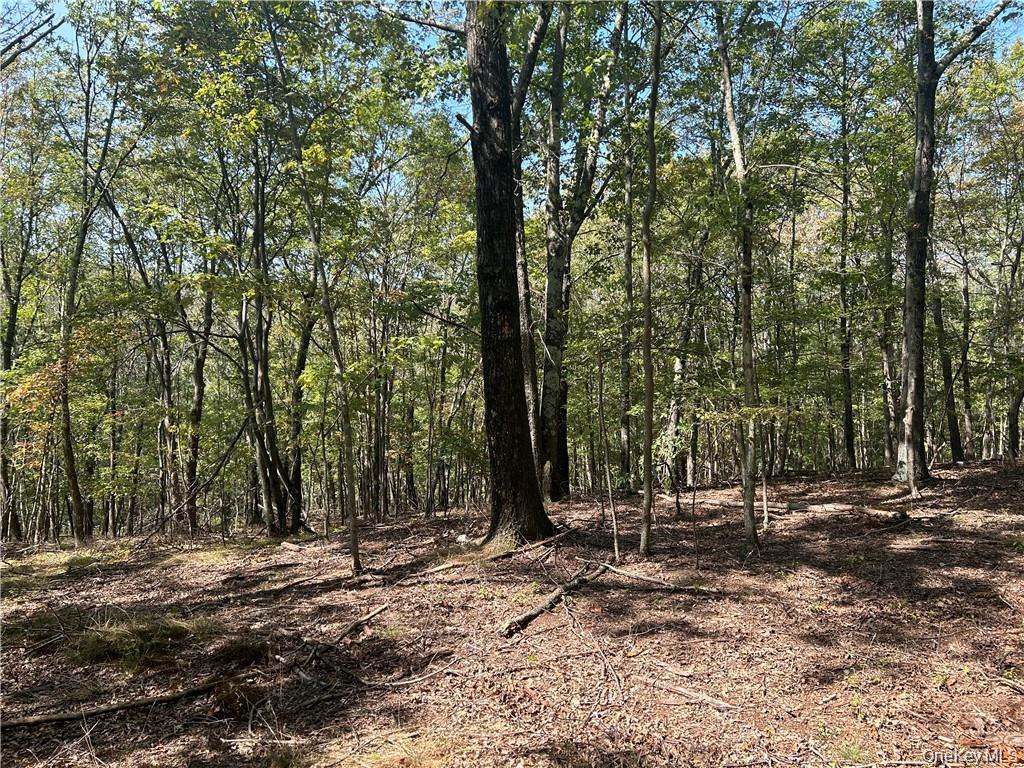 Westfall, Ancram, NY 12502