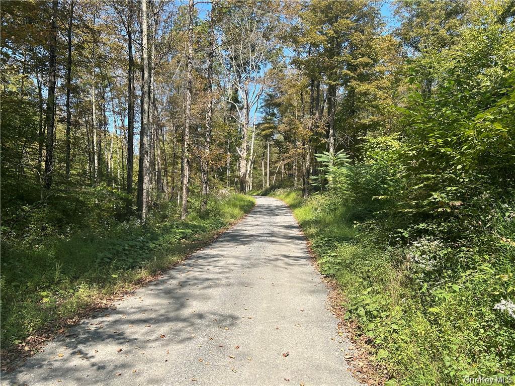 Westfall, Ancram, NY 12502