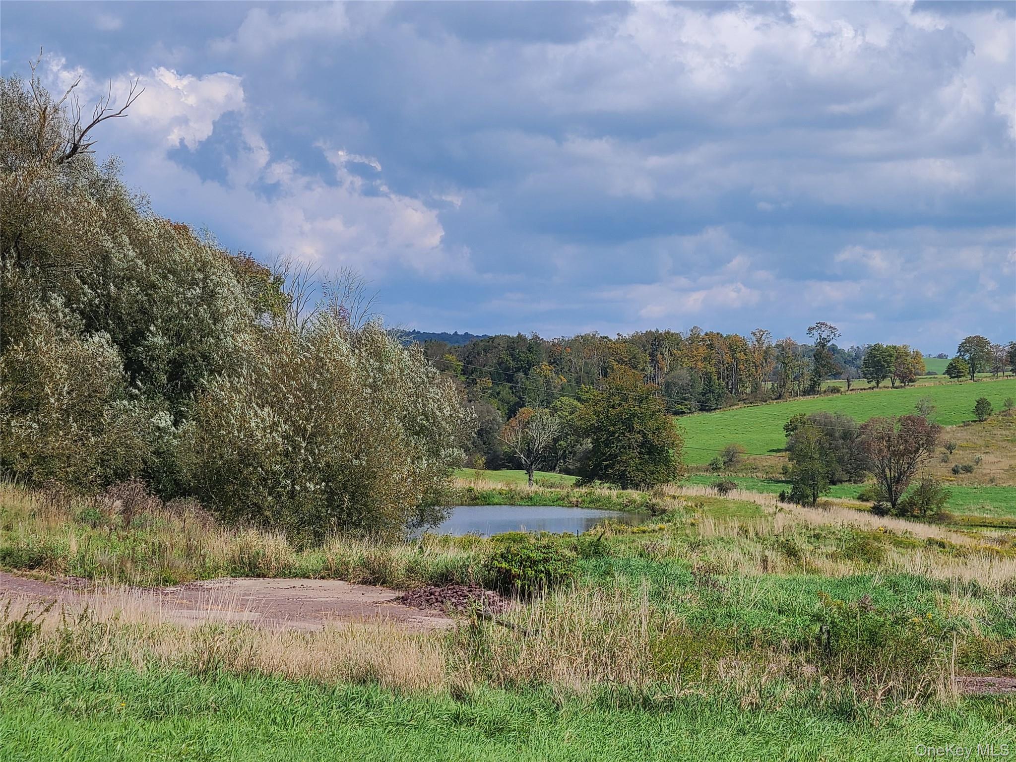 356 Gabel Road, Callicoon, NY 12723