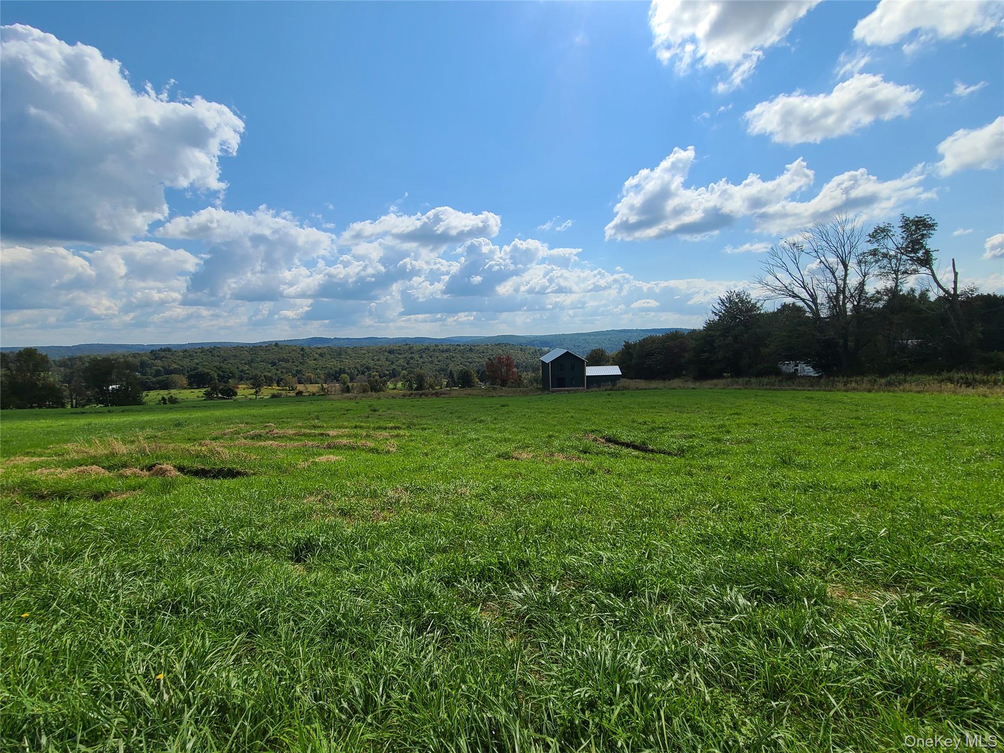 356 Gabel Road, Callicoon, NY 12723