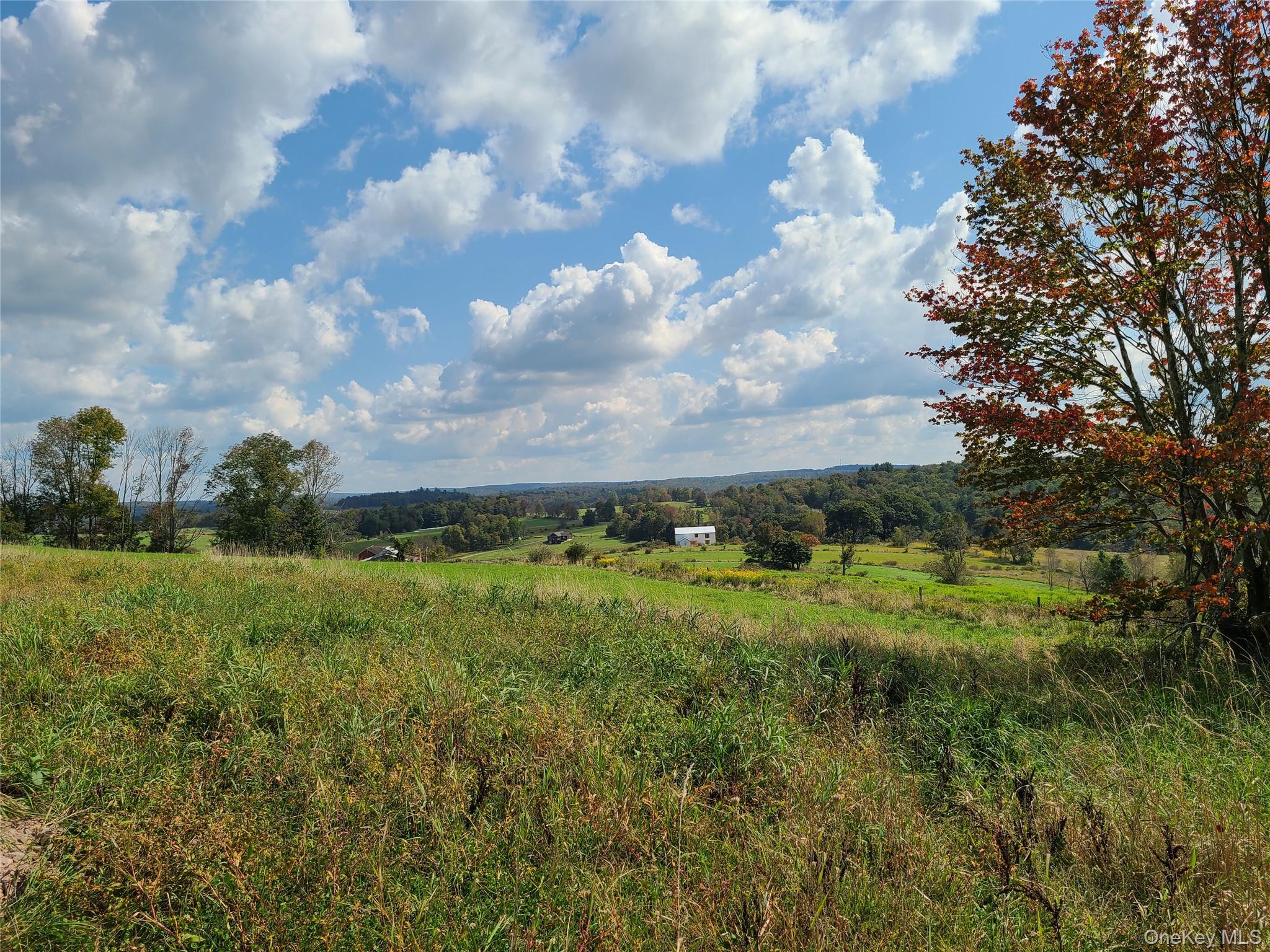 356 Gabel Road, Callicoon, NY 12723