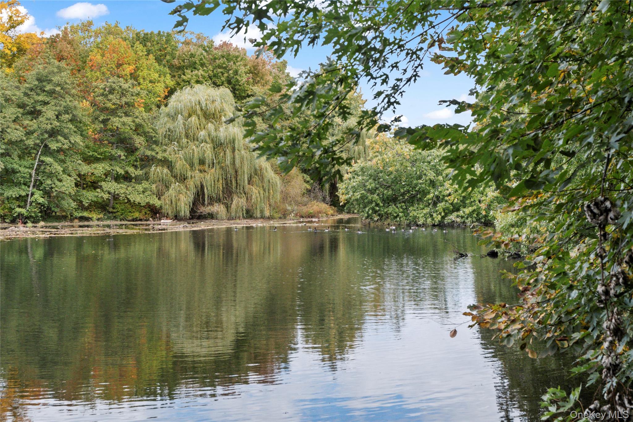 1 Rivermere # 5A, Bronxville, NY 10708