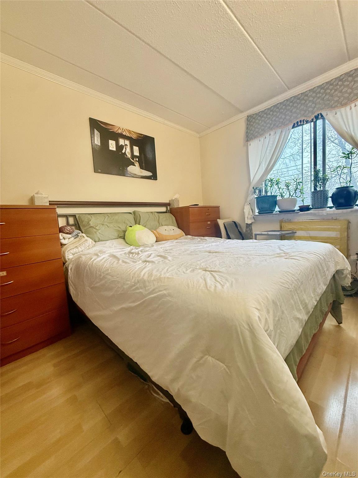 4260 157th Street # 3D, Flushing, NY 11355