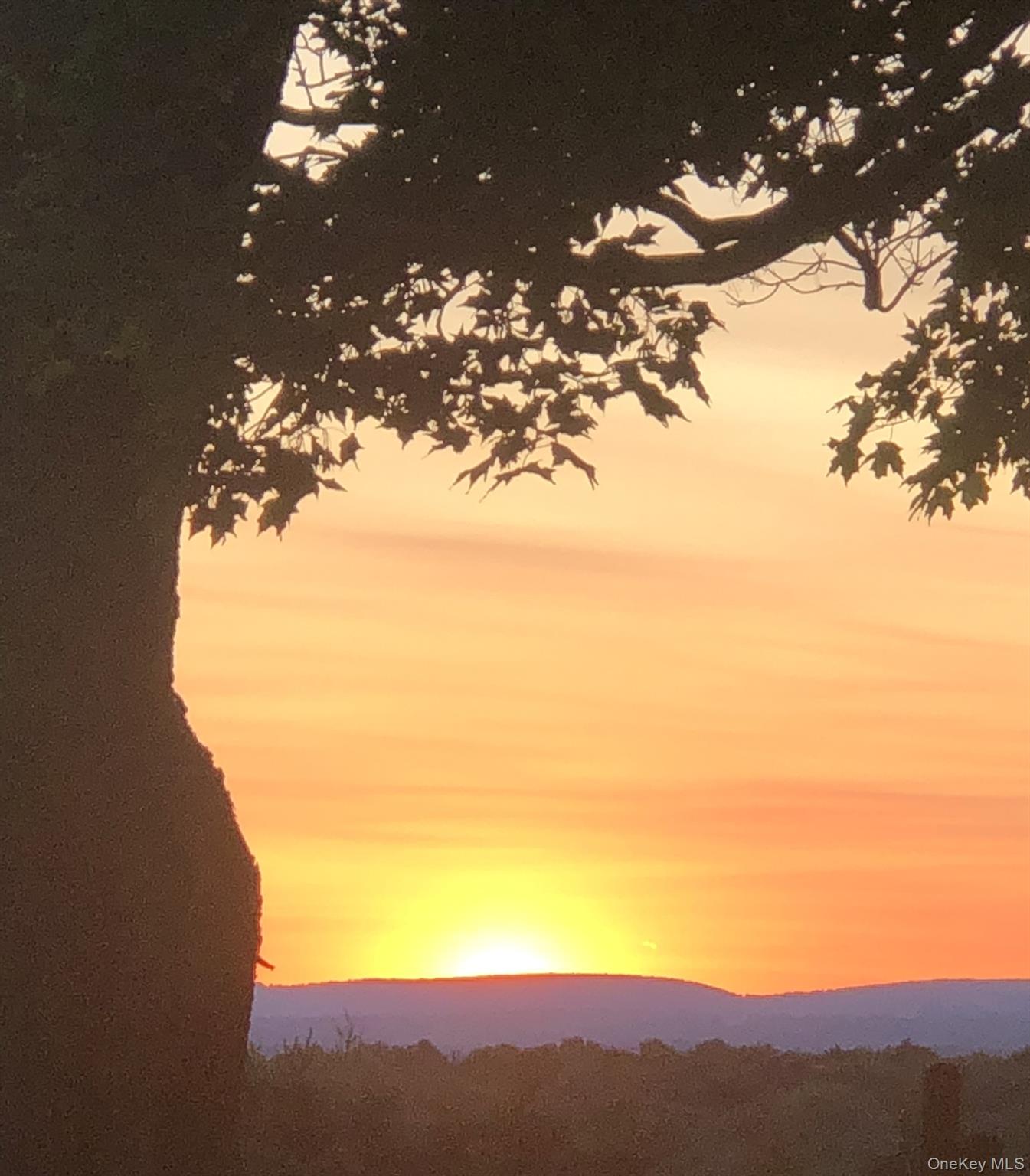 18 Almond Tree Lane, Warwick, NY 10990