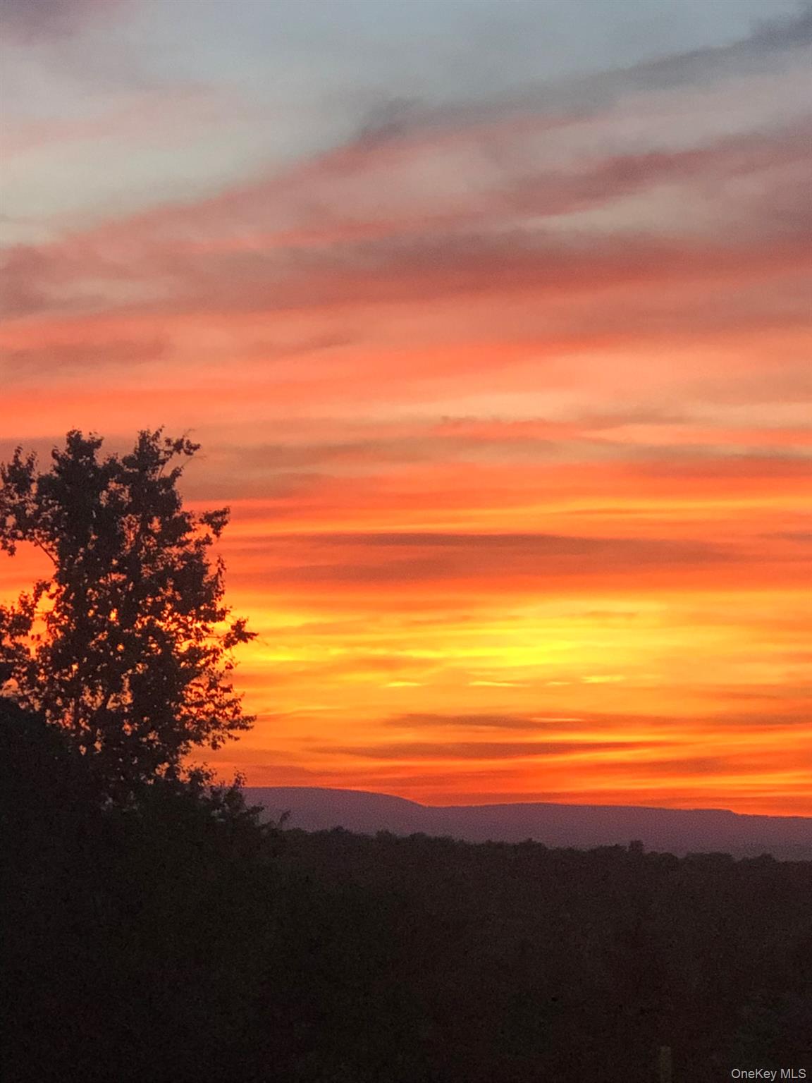 18 Almond Tree Lane, Warwick, NY 10990