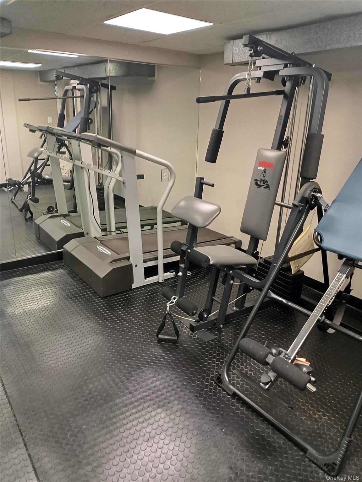 1155 Webster Avenue, New Rochelle, NY 10804