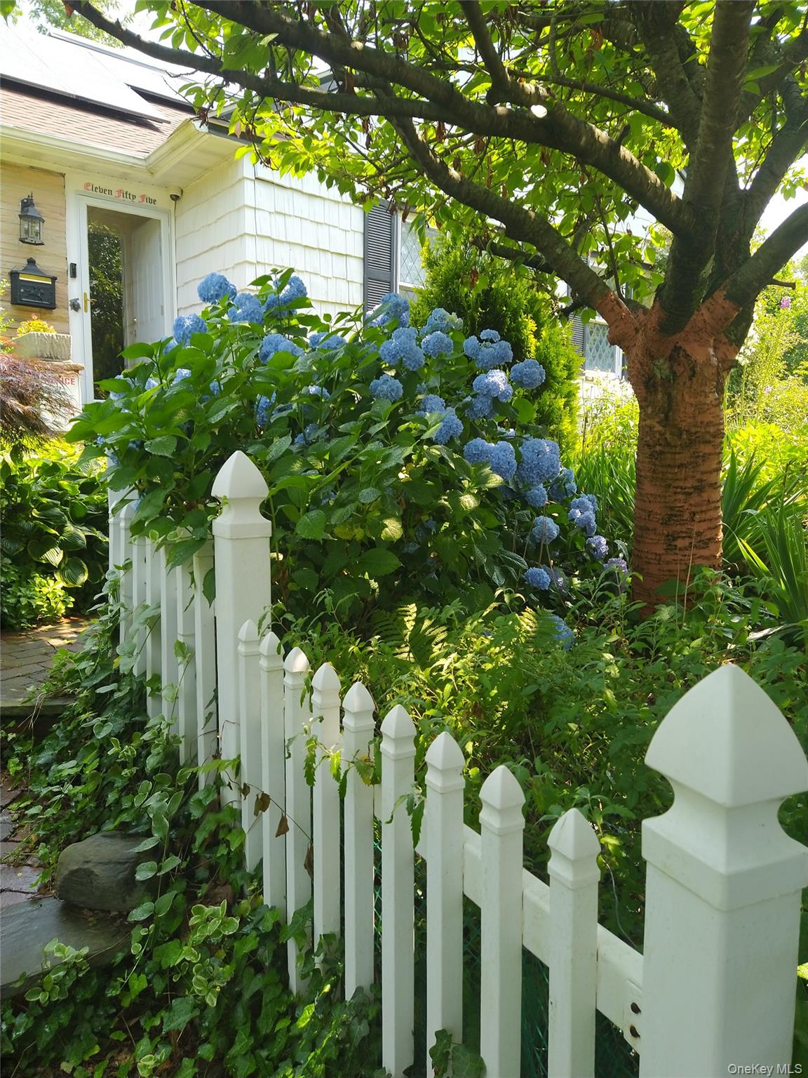 1155 Webster Avenue, New Rochelle, NY 10804