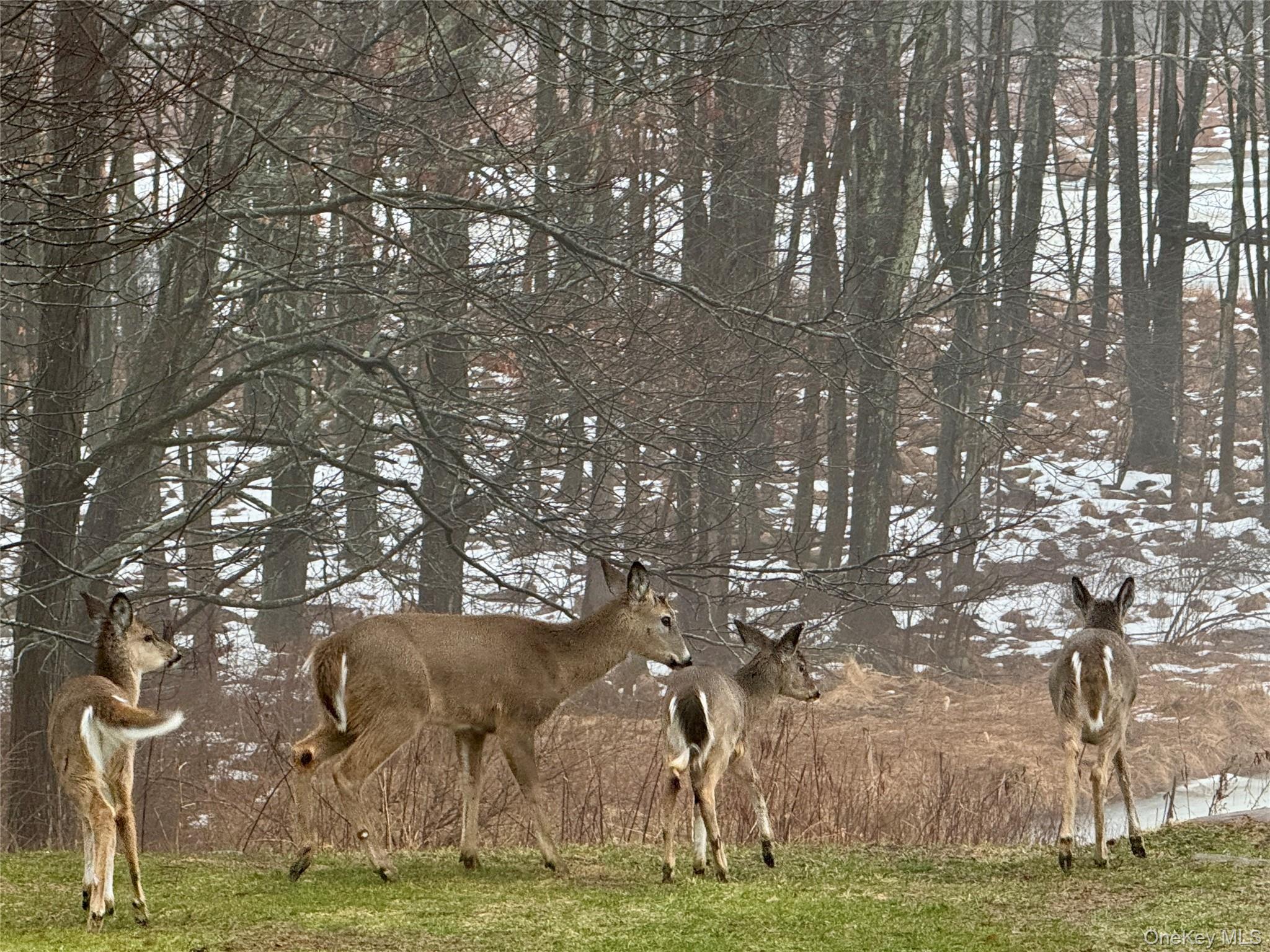 84 Tap Stone Ln, Port Jervis, NY 12771