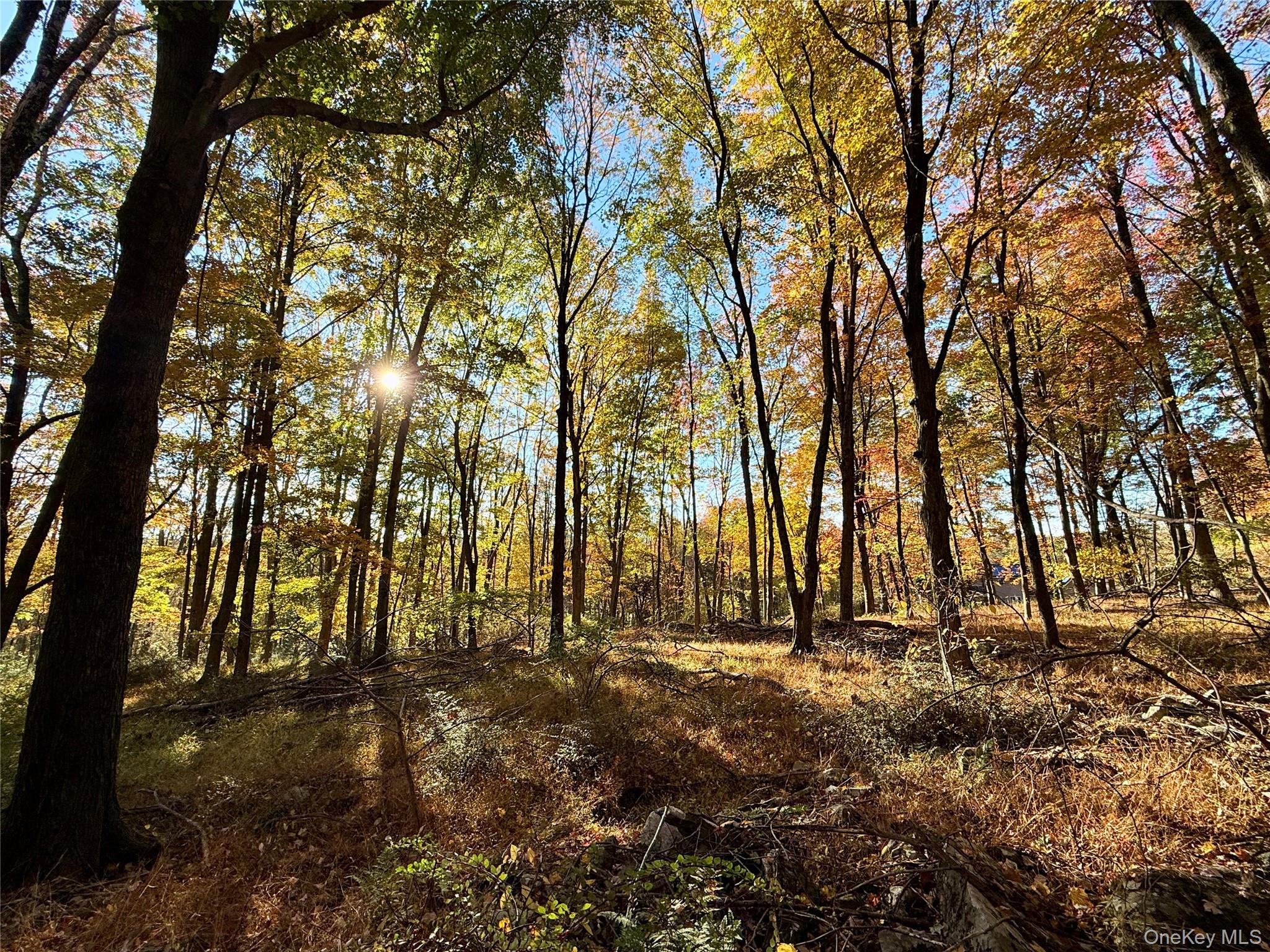 84 Tap Stone Ln, Port Jervis, NY 12771