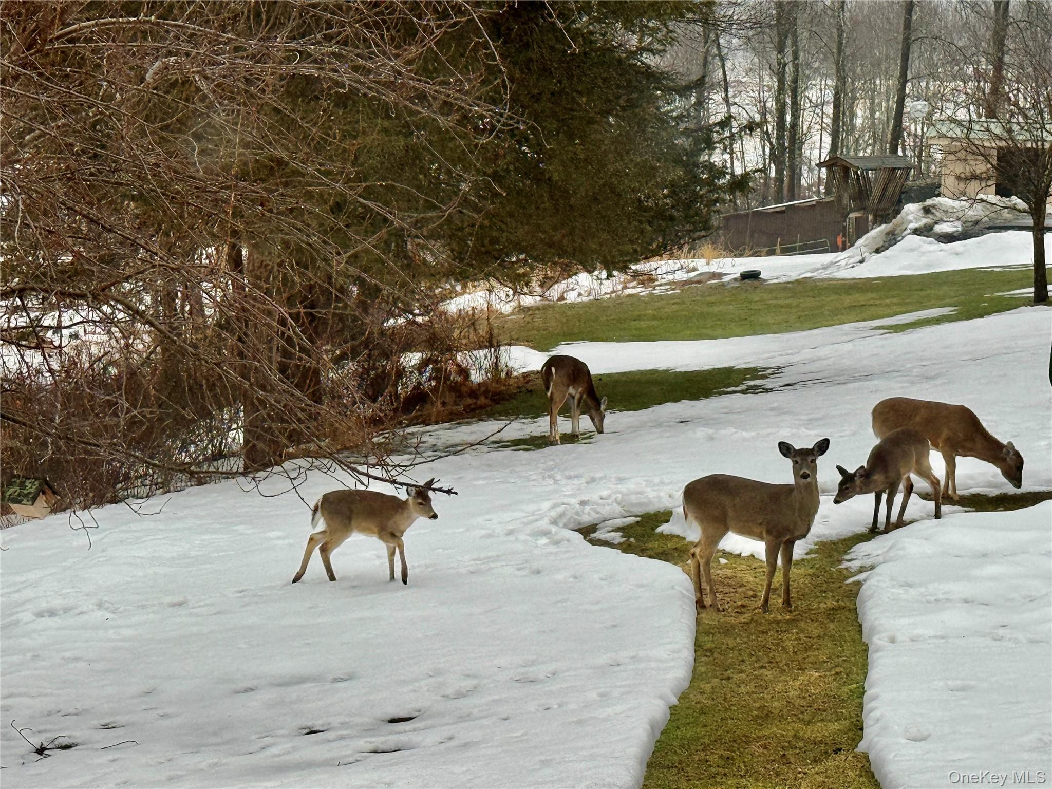 84 Tap Stone Ln, Port Jervis, NY 12771