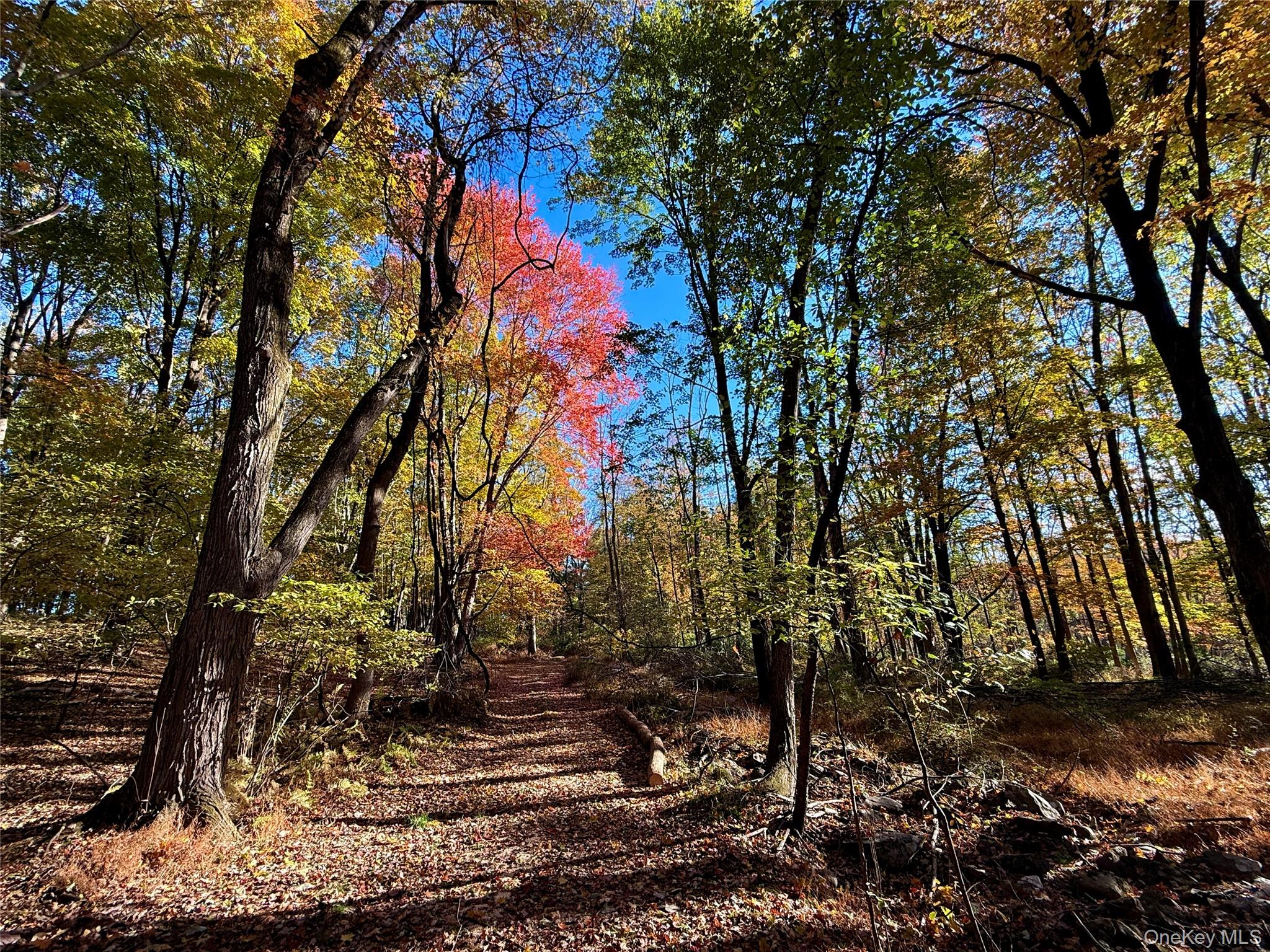 84 Tap Stone Ln, Port Jervis, NY 12771