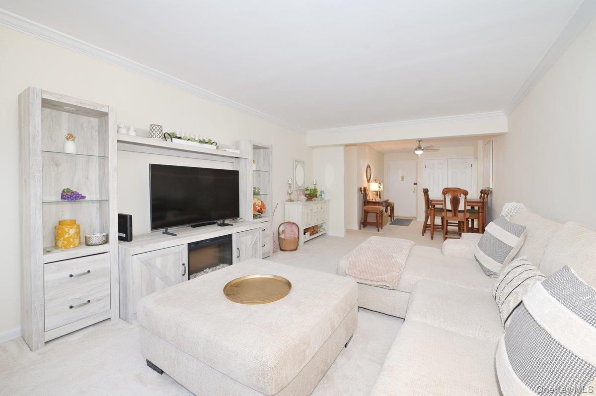 4 Birchwood Court # 1O, Mineola, NY 11501