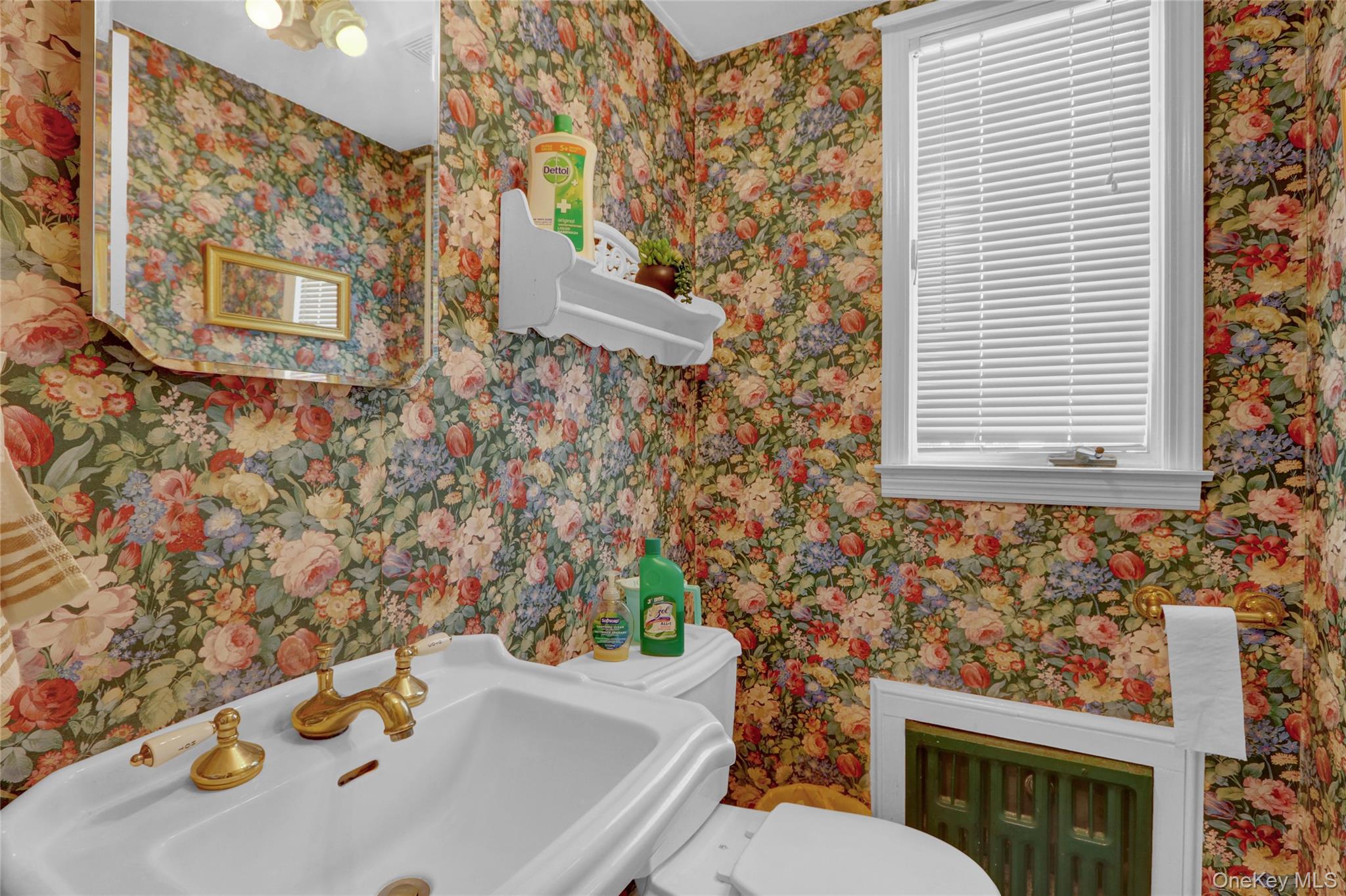 121 6th Street, Hicksville, NY 11801