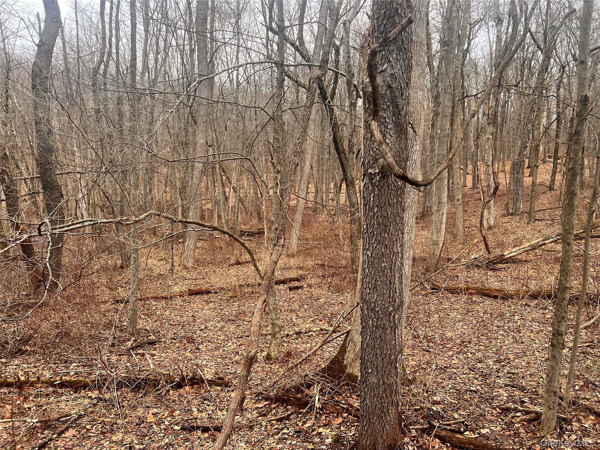 2413 Route 44, Salt Point, NY 12578