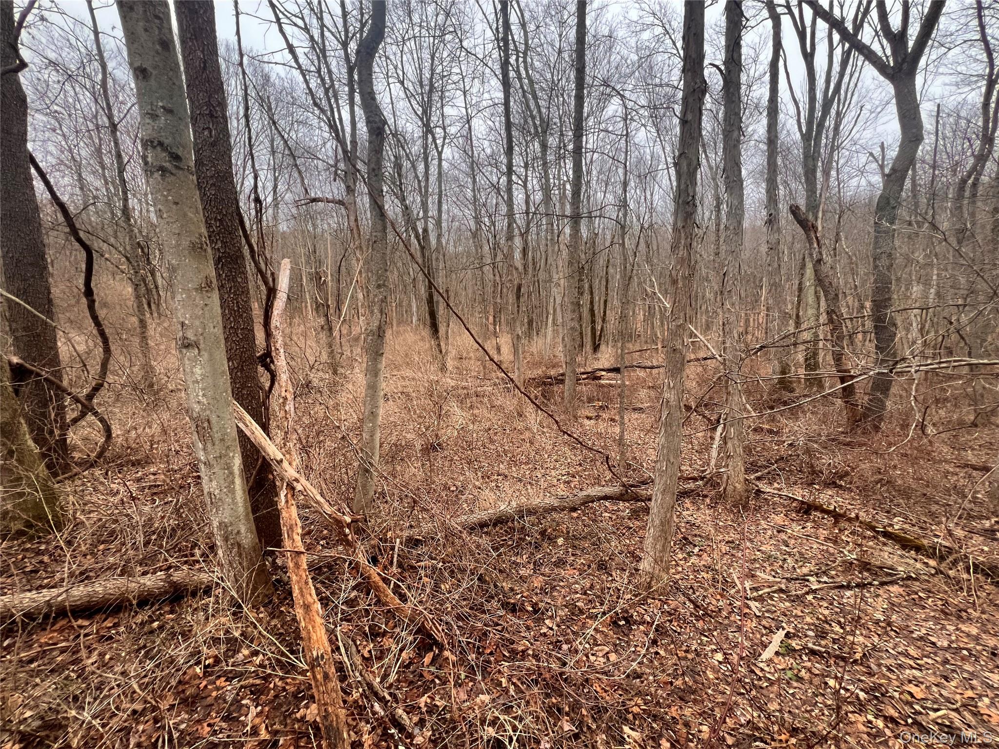 2413 Route 44, Salt Point, NY 12578