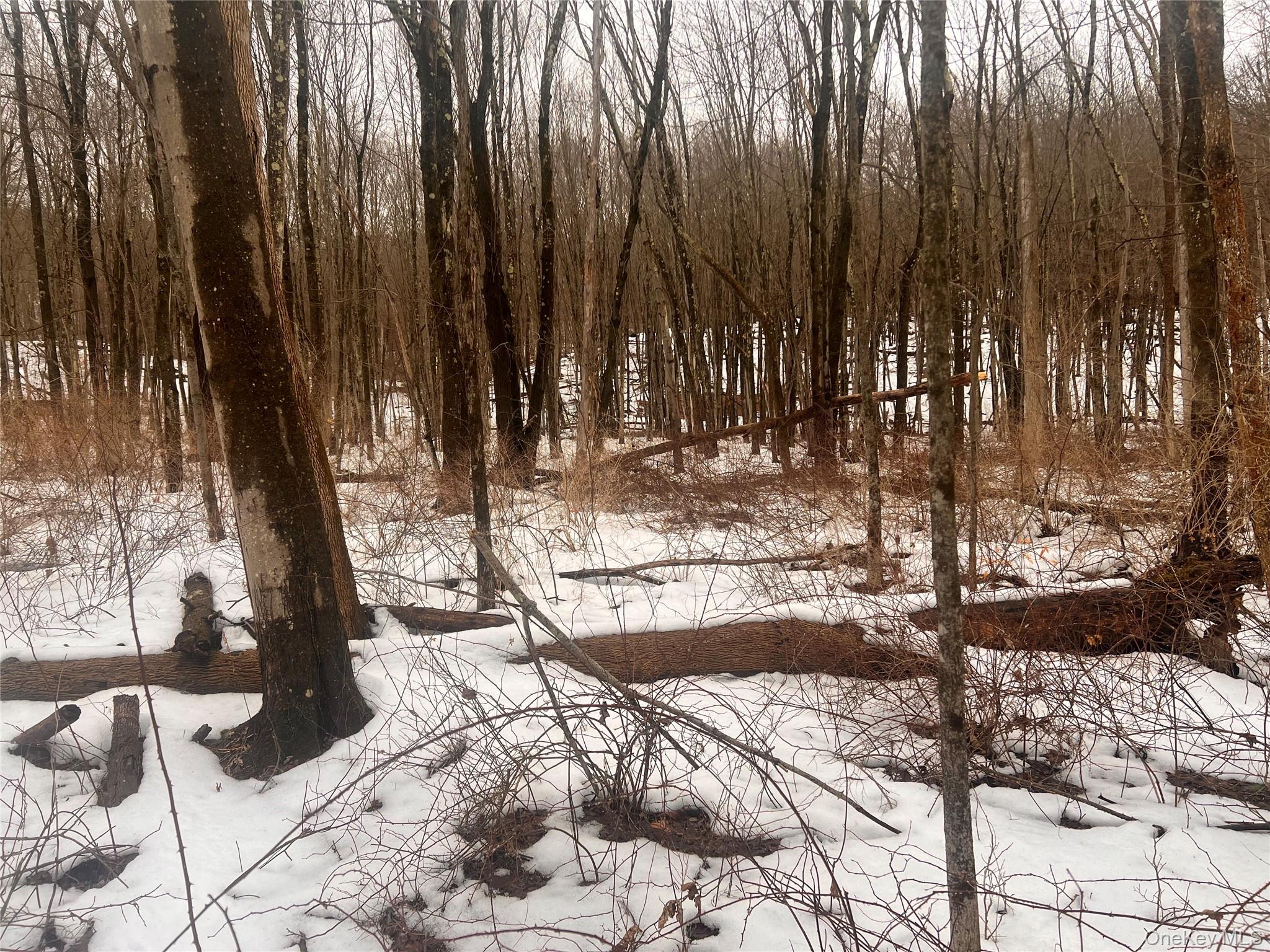 2413 Route 44, Salt Point, NY 12578