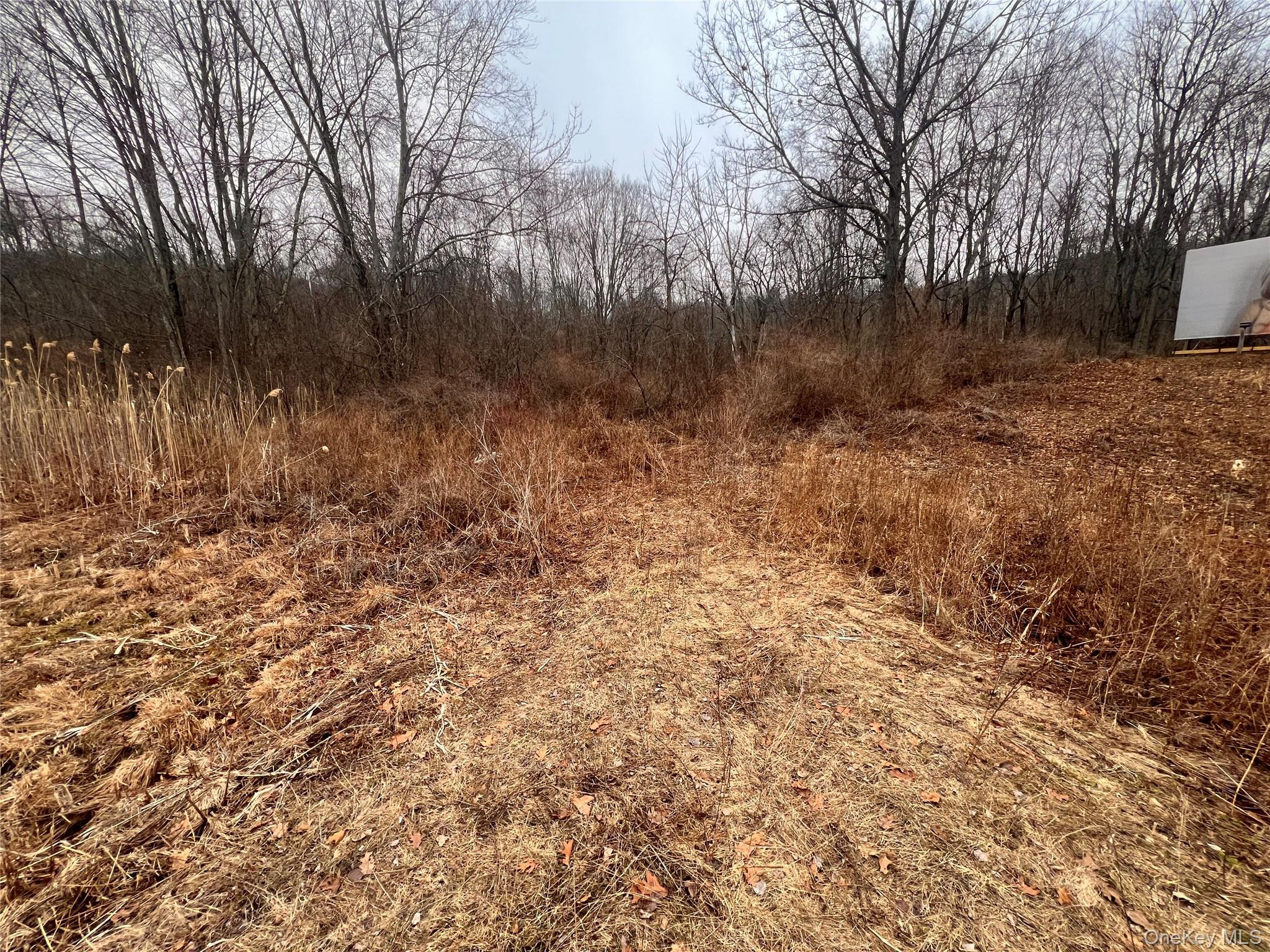 2413 Route 44, Salt Point, NY 12578