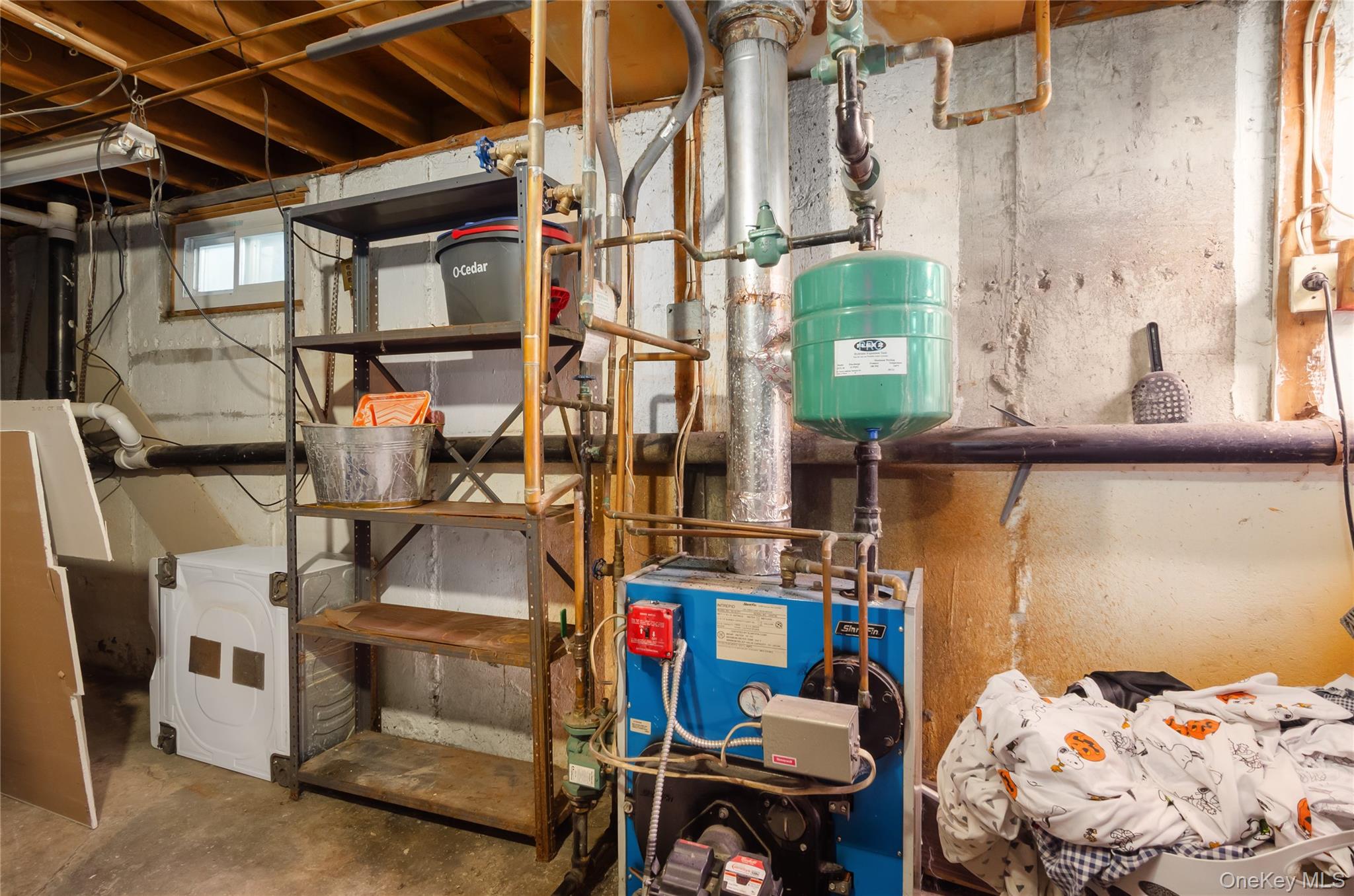 58 Pentmoor Drive, Mastic, NY 11950