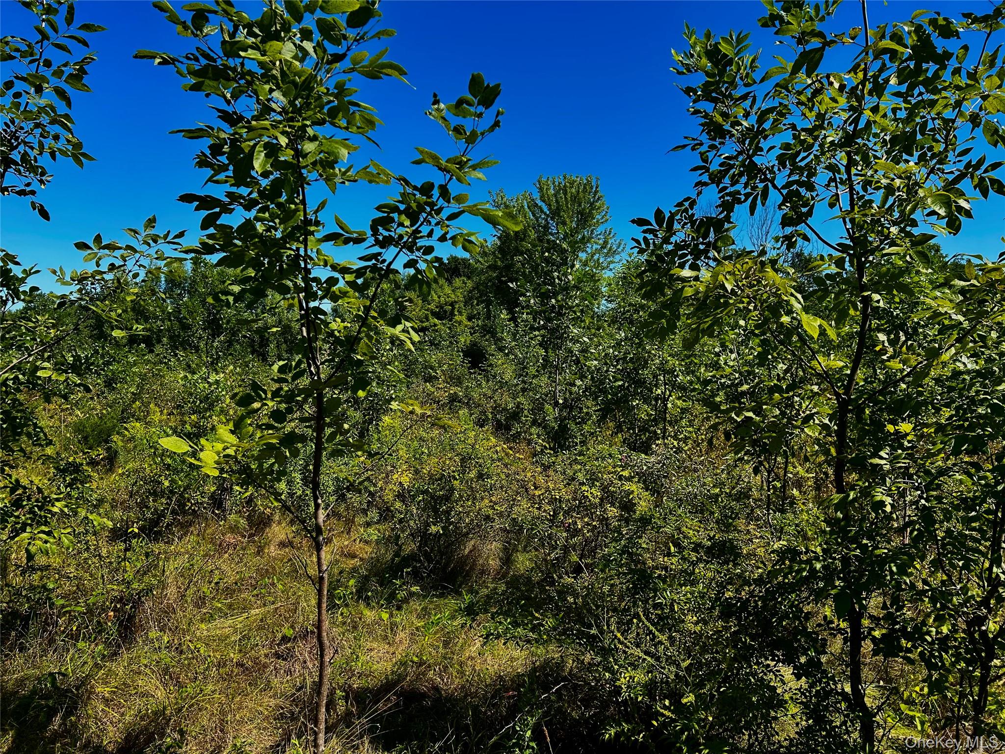 00 N Vernon, Athens, NY 12015