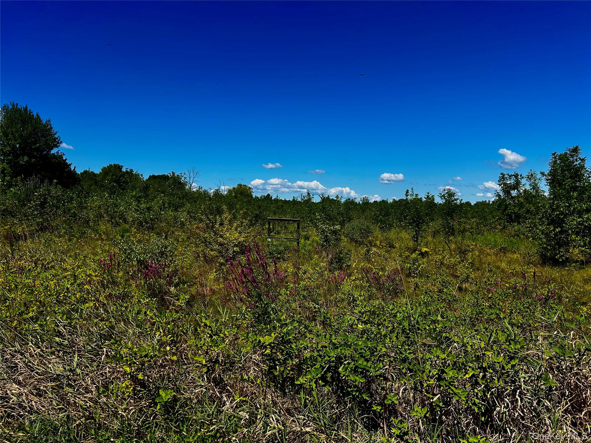 00 N Vernon, Athens, NY 12015