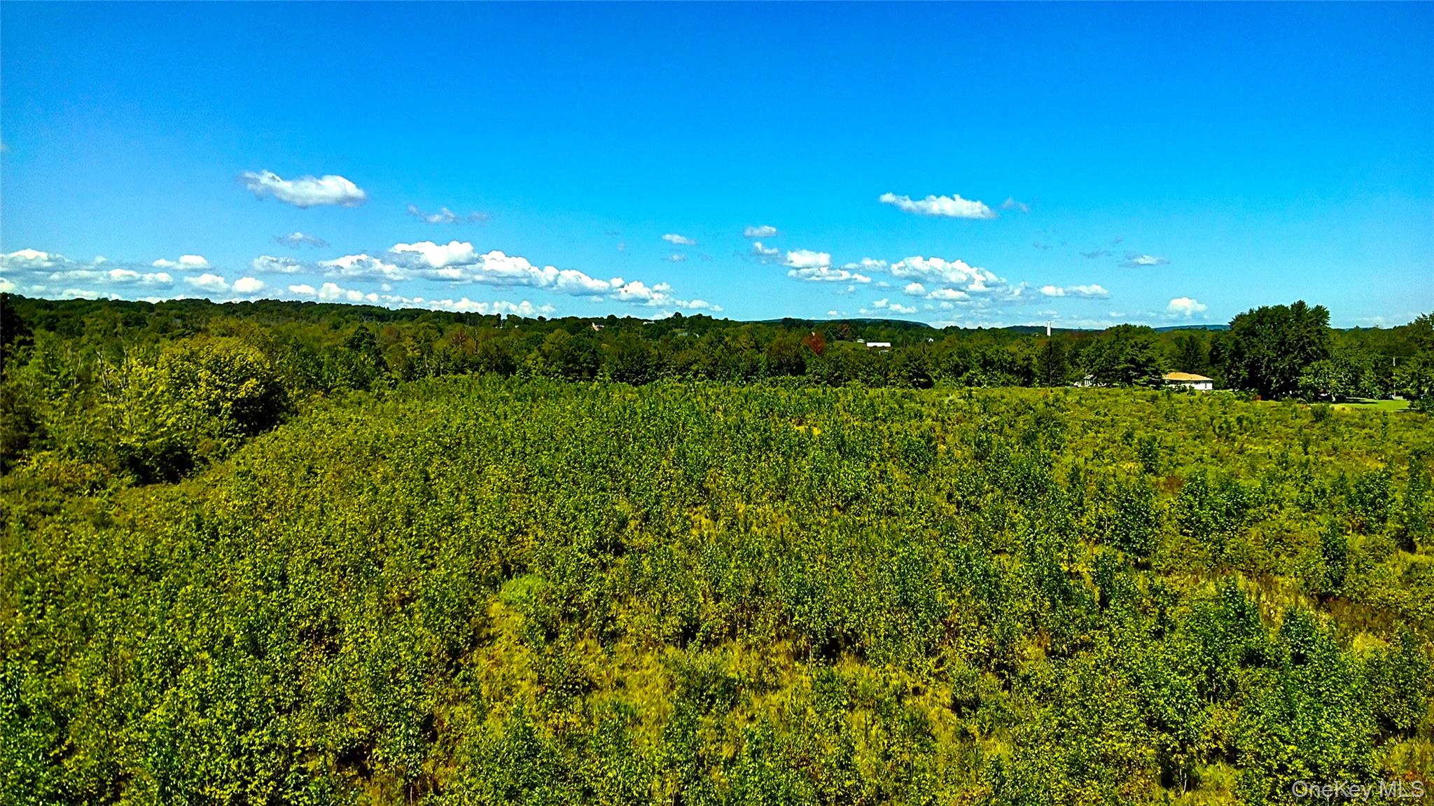 00 N Vernon, Athens, NY 12015