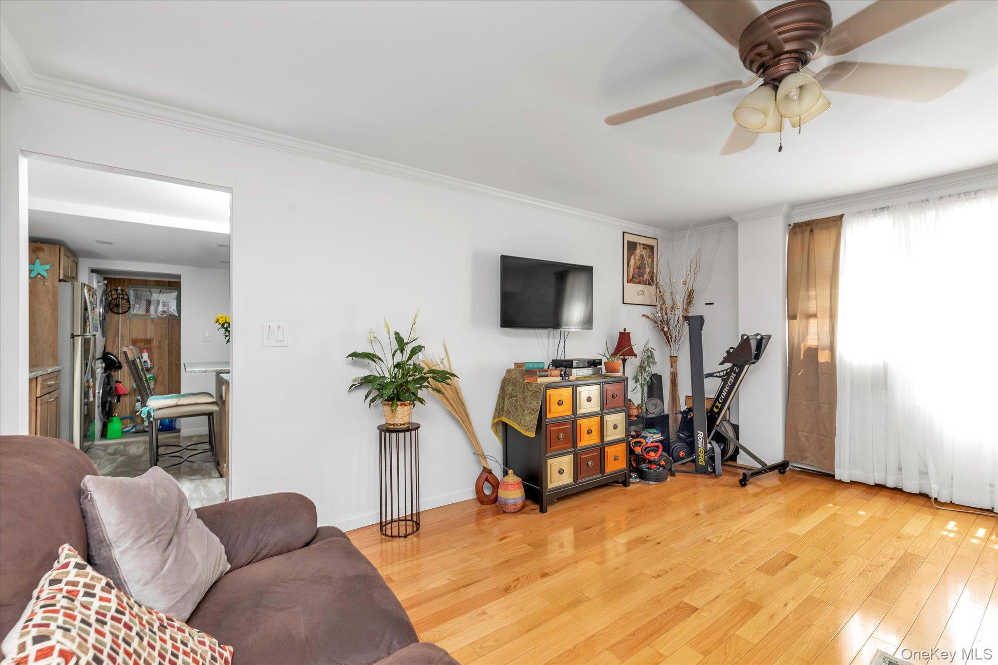 103 Oakley Avenue, Elmont, NY 11003