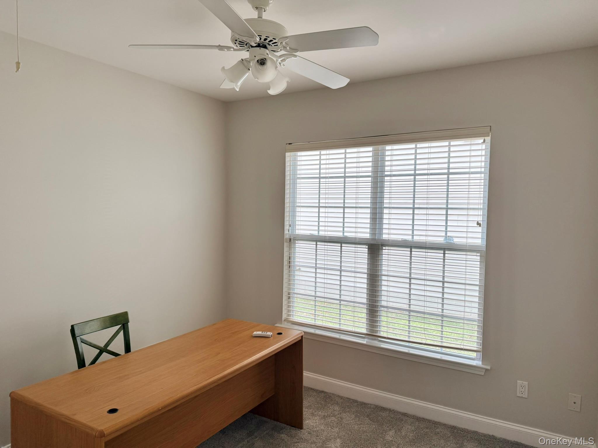 19 Sunflower Street, Middletown, NY 10940