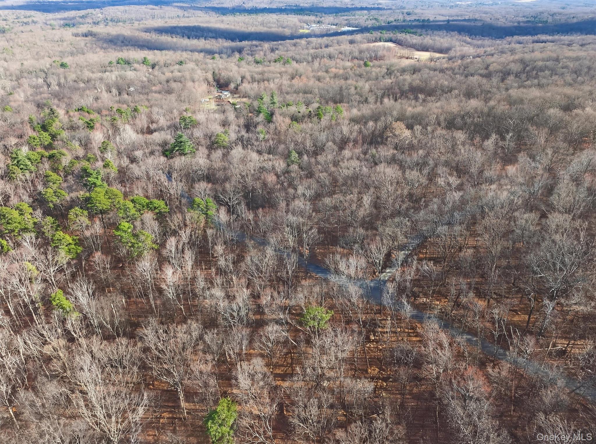 Lenni Lenape Avenue, Wurtsboro, NY 12790