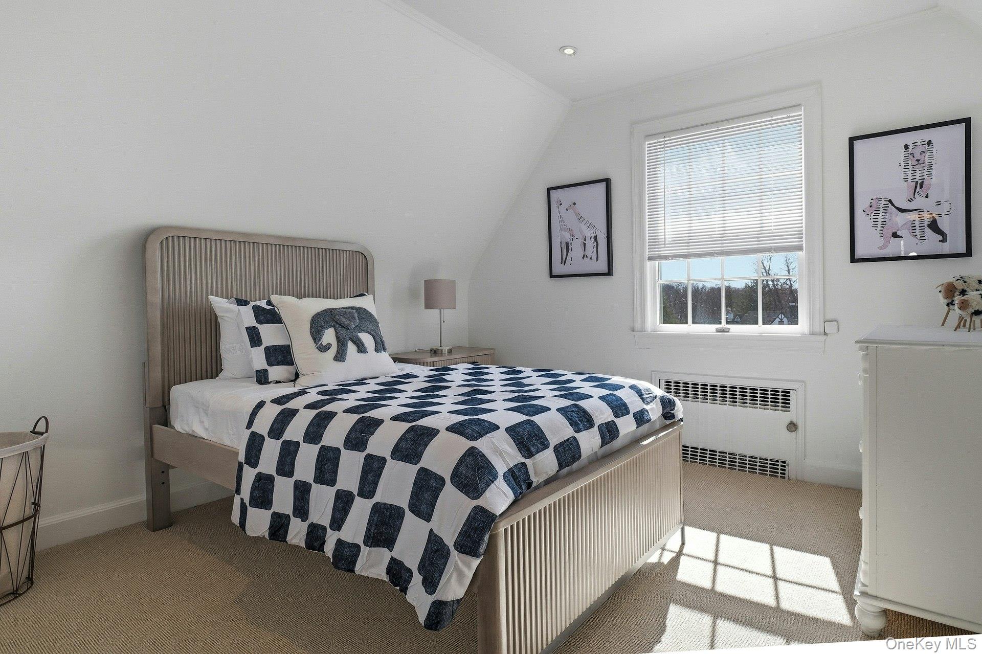 6 Janssen Drive, Manhasset, NY 11030