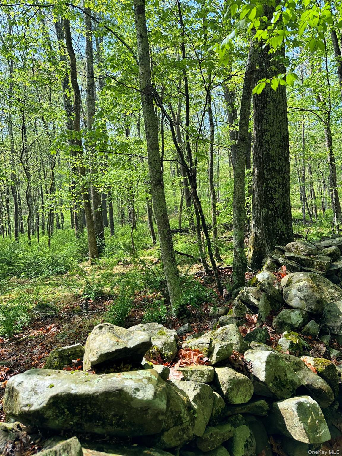 30 Narrow Road, Kingston, NY 12401