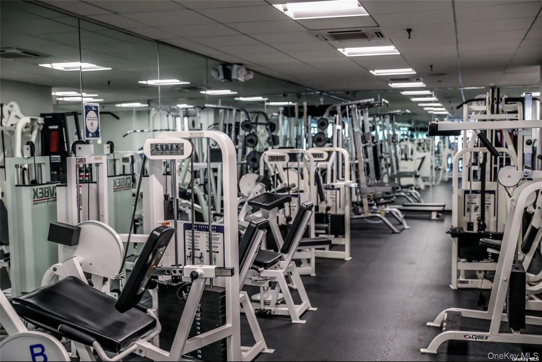 1324 Robin Lane # 1195, Bayside, NY 11360