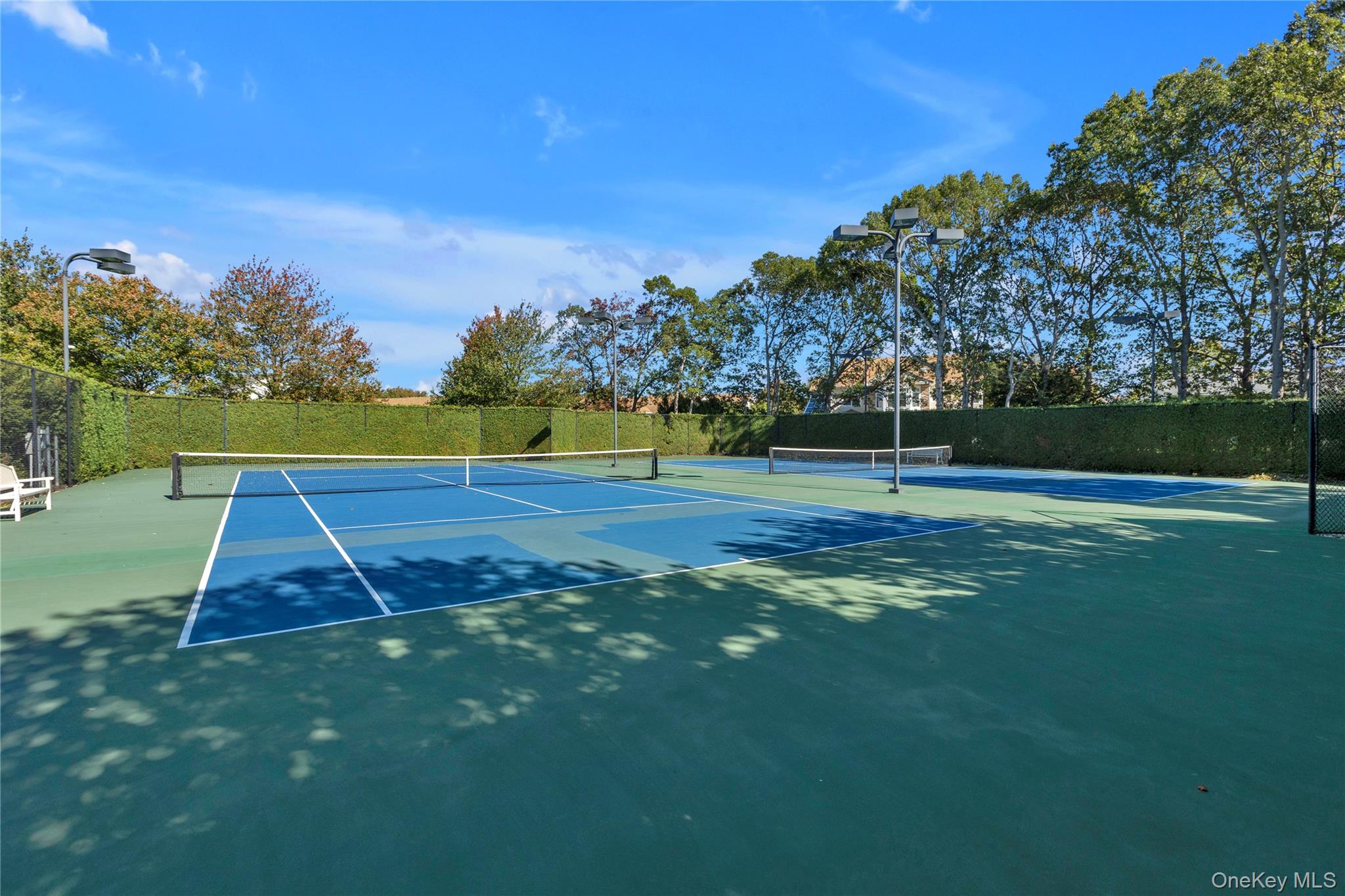 39 Hamlet Woods Drive, Saint James, NY 11780