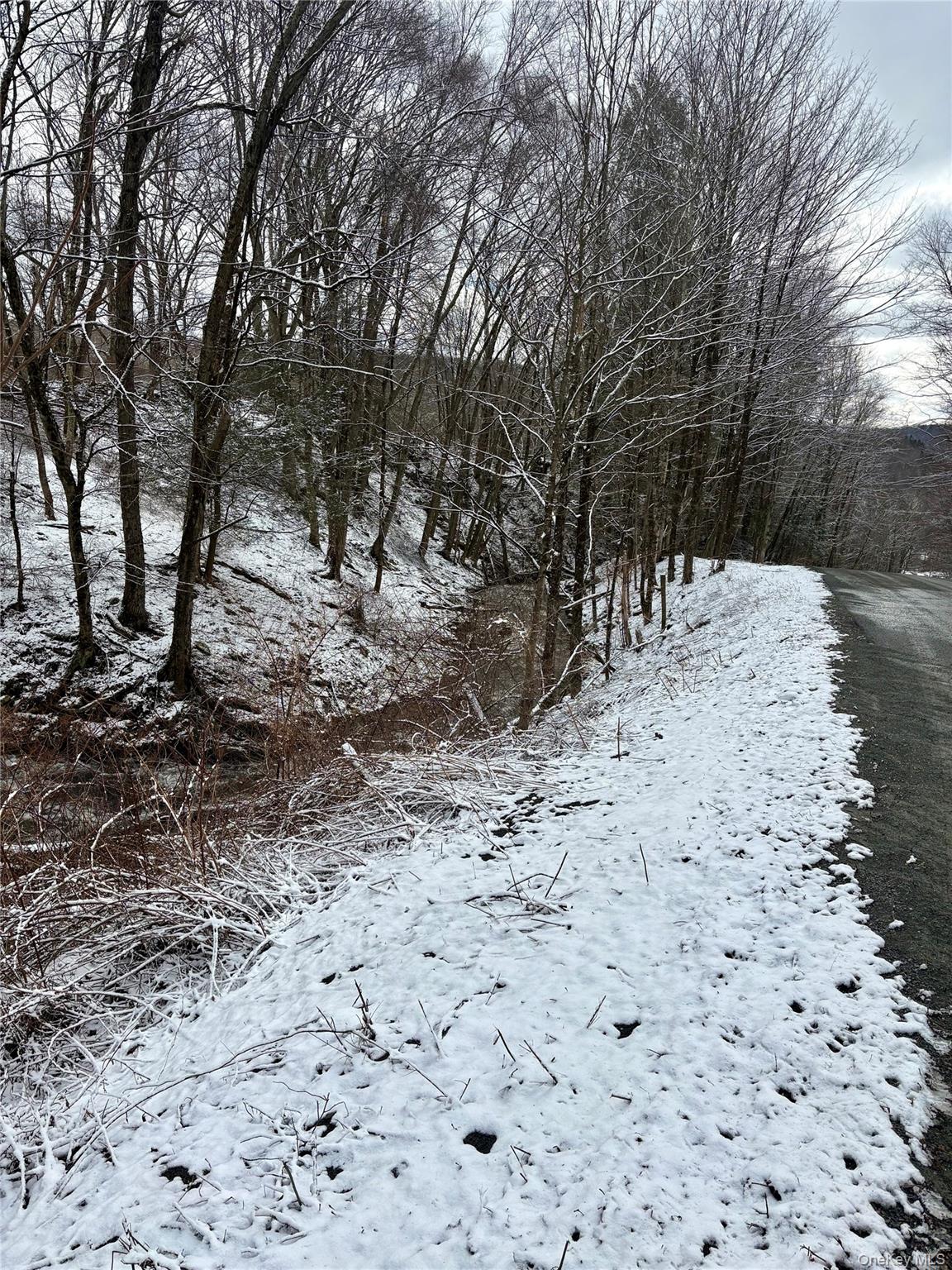 T R 28, Fremont Center, NY 12736