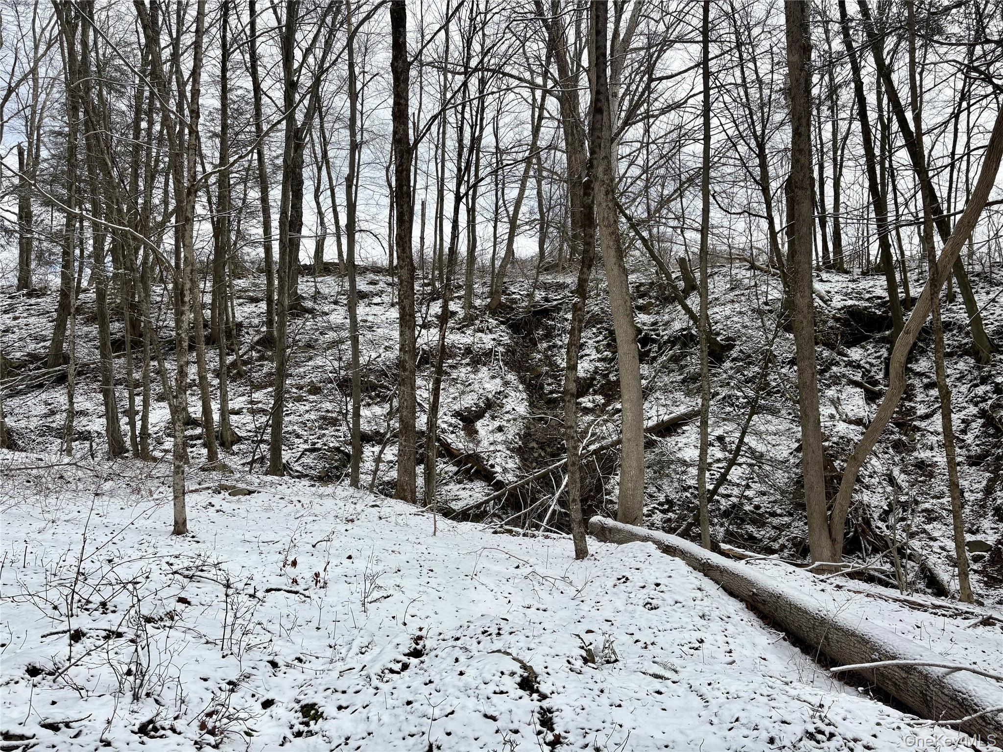 T R 28, Fremont Center, NY 12736