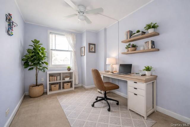 1776 Seminole Avenue, Bronx, NY 10461