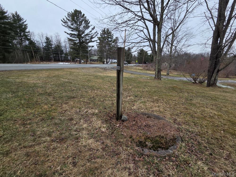 TBD State Route 52, White Sulphur Spring, NY 12787