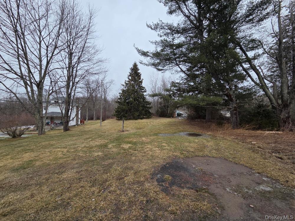 TBD State Route 52, White Sulphur Spring, NY 12787