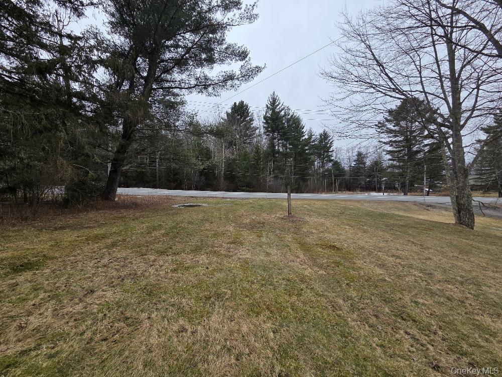 TBD State Route 52, White Sulphur Spring, NY 12787