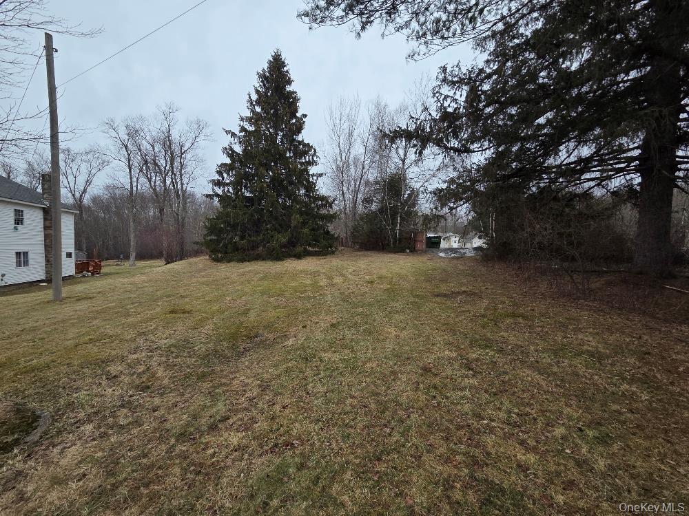 TBD State Route 52, White Sulphur Spring, NY 12787