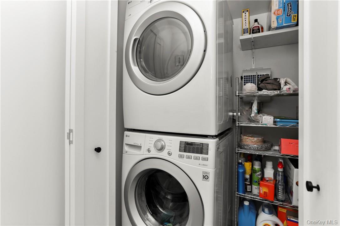 81 Rochelle Street, Bronx, NY 10464