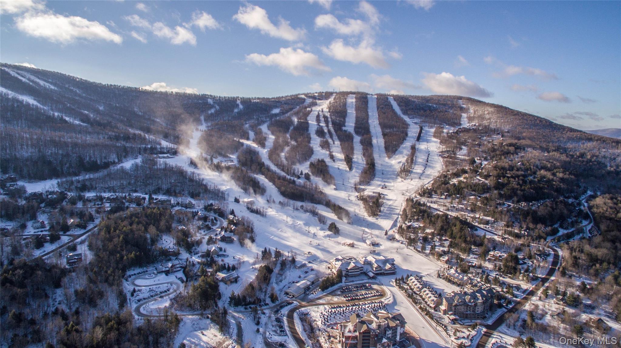 226 State Route 296, Windham, NY 12496