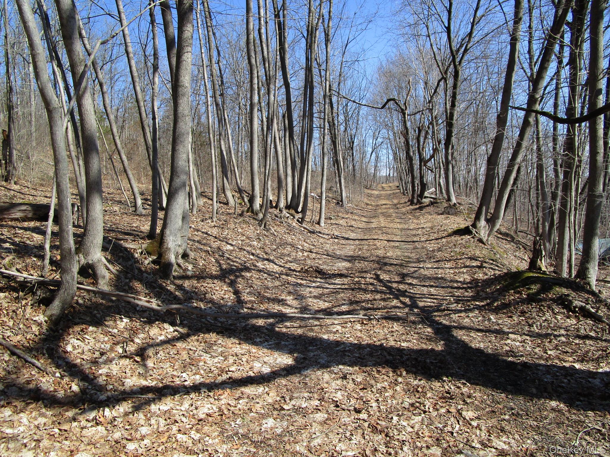 Co Rt 12, New Hampton, NY 10958