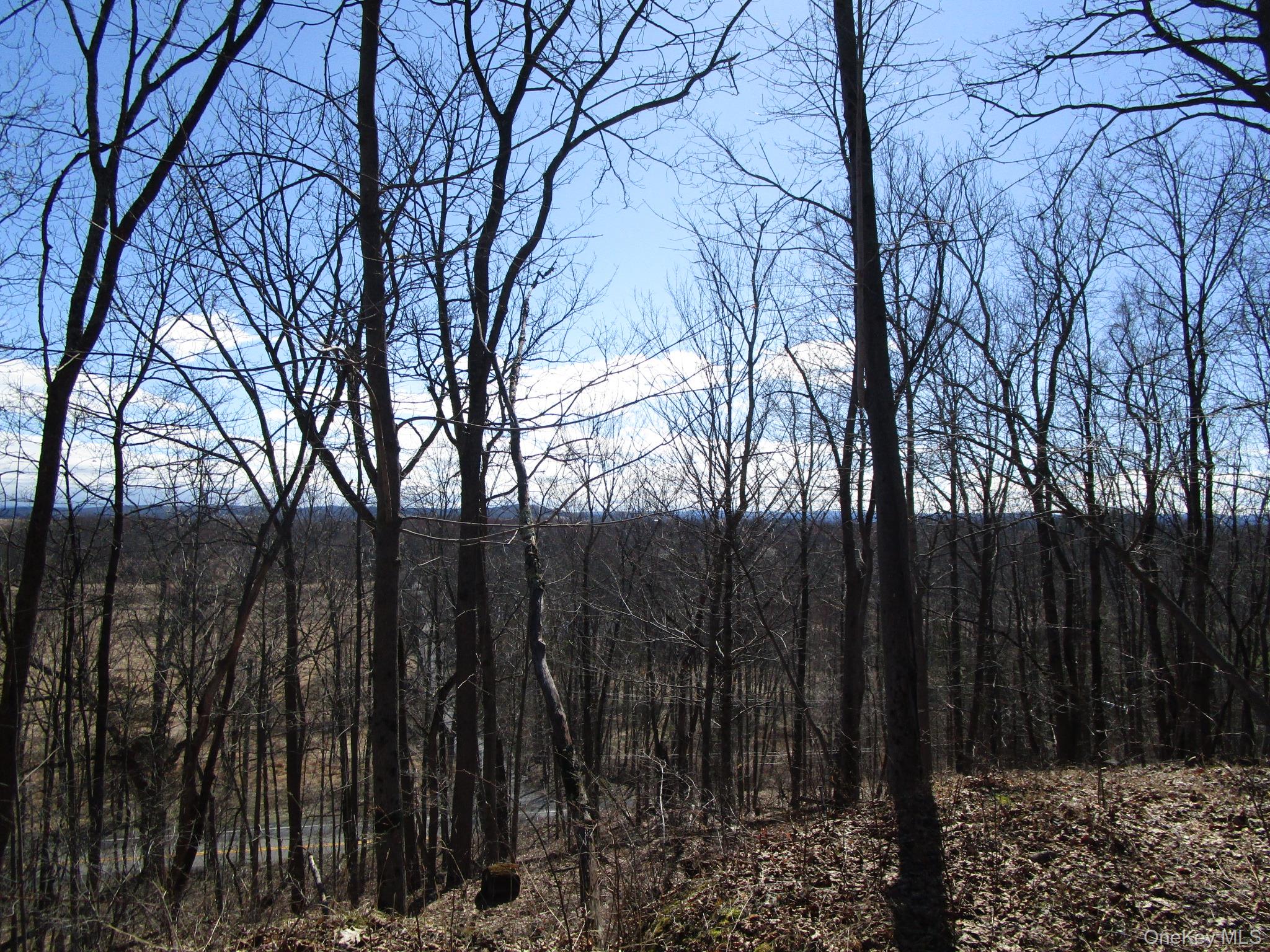 Co Rt 12, New Hampton, NY 10958