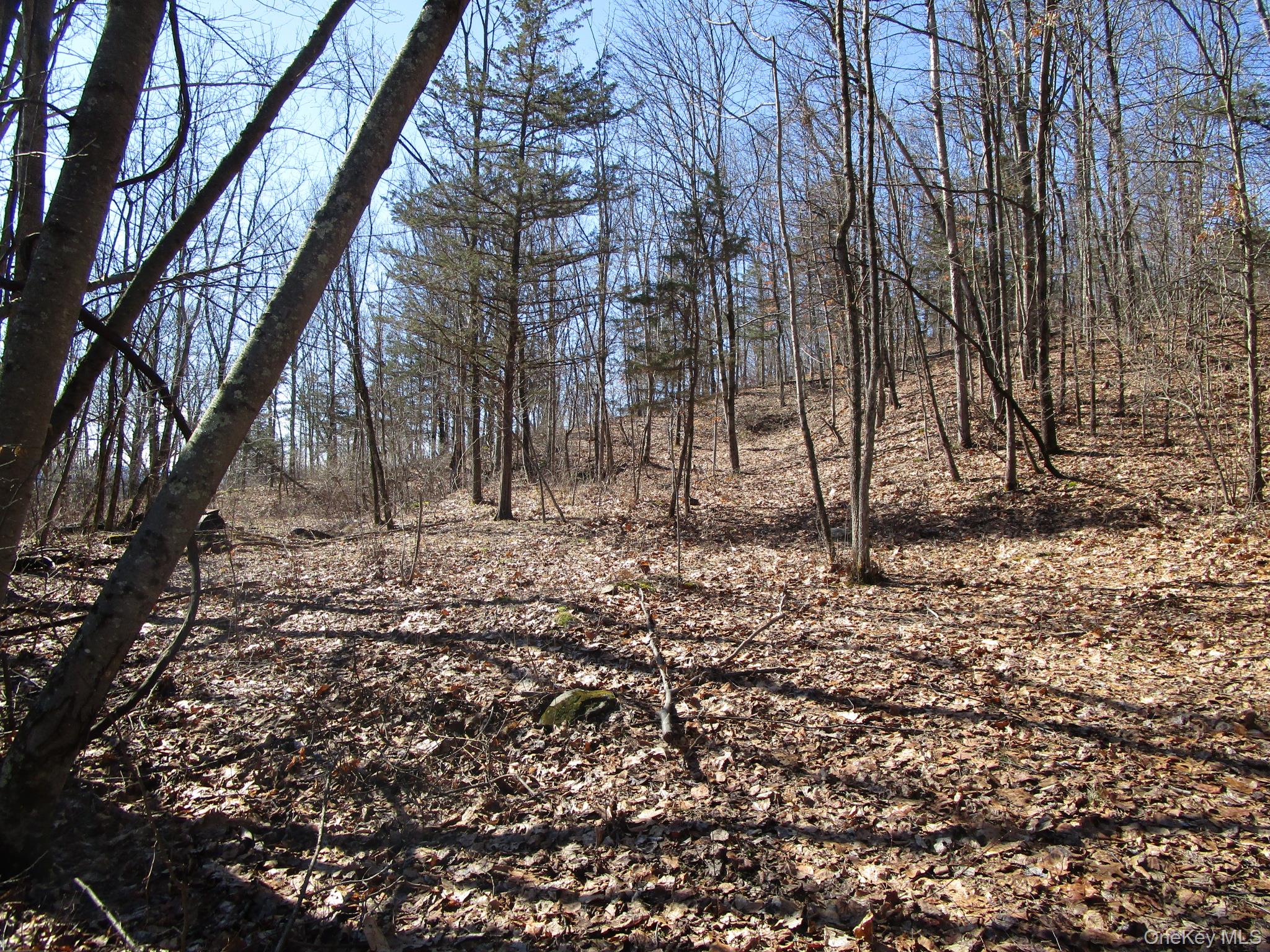 Co Rt 12, New Hampton, NY 10958